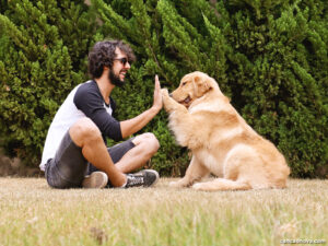 Pet Sitter